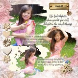 12 Volumes - Vol. 3 Bundle - Delightful