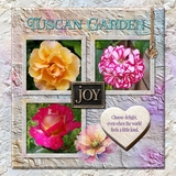 12 Volumes - Vol. 3 Bundle - Delightful