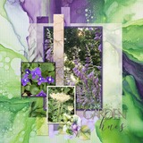 A Fluid State of Mind 3 Mega Bundle