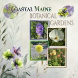 A Fluid State of Mind 3 Mega Bundle