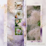 A Fluid State of Mind 3 Mega Bundle