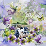 A Fluid State of Mind 3 Mega Bundle