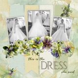 A Fluid State of Mind 3 Mega Bundle