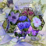 A Fluid State of Mind 3 Mega Bundle