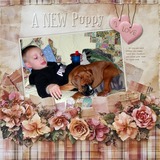 Clustered Border Background Set 8