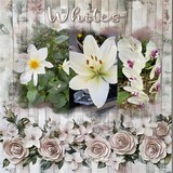 Clustered Border Background Set 8