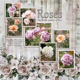 Clustered Border Background Set 8