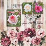 Clustered Border Background Set 8