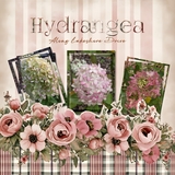 Clustered Border Background Set 8