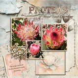 Messy Bloom Mega Bundle