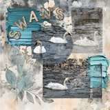 Messy Bloom Mega Bundle