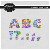 Flowers in Bloom Alpha