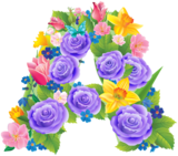 Flowers in Bloom Alpha