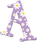 Spring Daisies Alpha Bundle