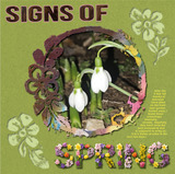 Alphapalooza - Set 1 - BUNDLE