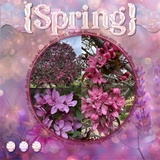 Botanical Bokeh Papers Bundle