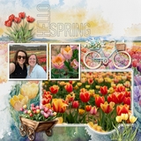 Flower Fields Watercolor Papers