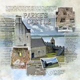 Artistic License Segmented