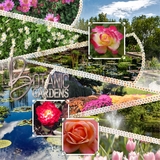 Artistic License Dot Matrix Part 1