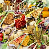 Artistic License Dot Matrix Part 1