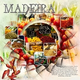 Artistic License Template Trio 06