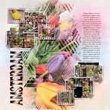 Artistic License Template Trio 07