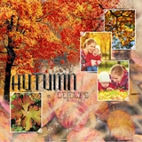 Artistic License Template Trio 08