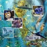 Artistic License Template Trio 08