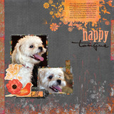 Nature’s Garden Element Pak