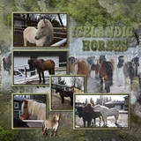 Moss & Stone Garden Bundle