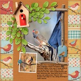 Return of the Chirp - The Collection