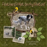 Return of the Chirp - The Collection