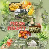 Artistic License Template Trio 01