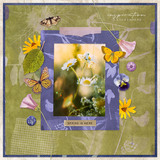 Cyanotypes 3 Collection