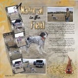 Seatrout Scraps Treasure Trove 01