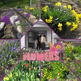 Everyday Enhanced Center Shape Photo Clusters