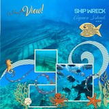 Everyday Enhanced Flourish EZ Pages