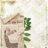 Chevron Blends Paper Pak