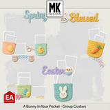A Bunny In Your Pocket - Group Clusters