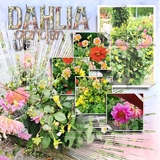 Artistic License Let It Shine