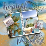 Artistic License Let It Shine