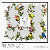 Switio - Masked Group Clusters