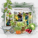 Green Thumb Framed Watercolor Papers