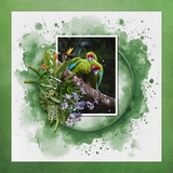 Green Thumb Framed Watercolor Papers