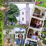 Moss & Stone Garden Elements