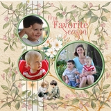 Where Spring Gathers Bundle