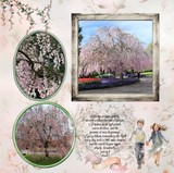 Where Spring Gathers Bundle