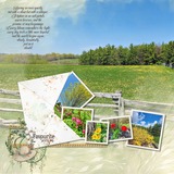 Where Spring Gathers Bundle