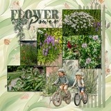 Where Spring Gathers Bundle