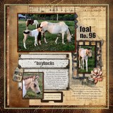 Medley of Memories Bundle